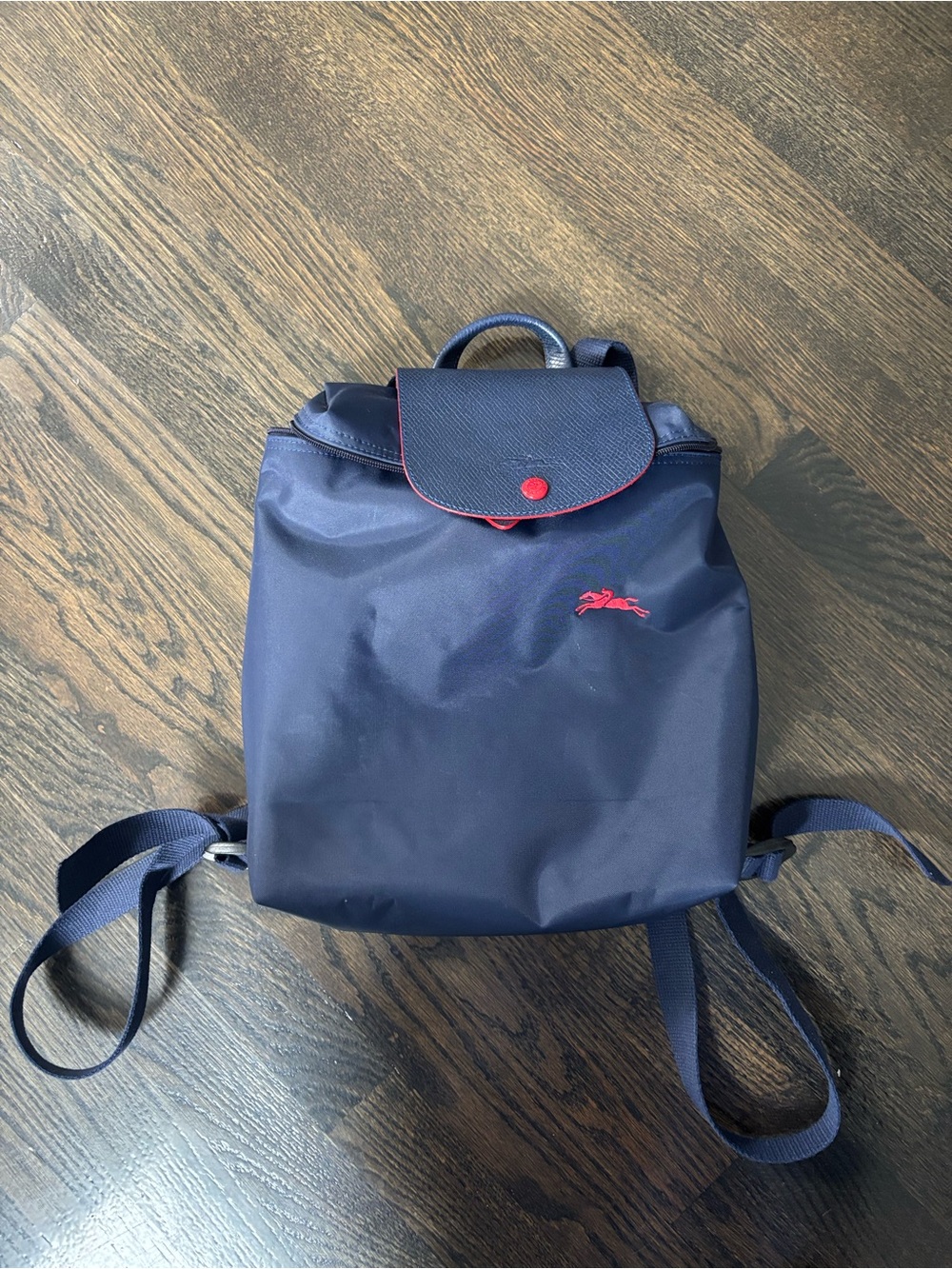 Longchamp Navy Backpack with Red Accents